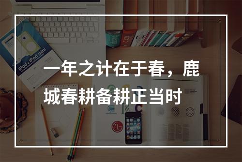 一年之计在于春，鹿城春耕备耕正当时