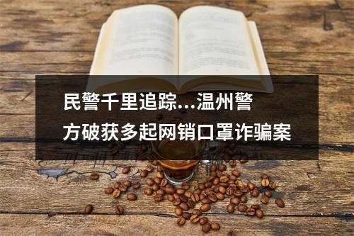 民警千里追踪...温州警方破获多起网销口罩诈骗案