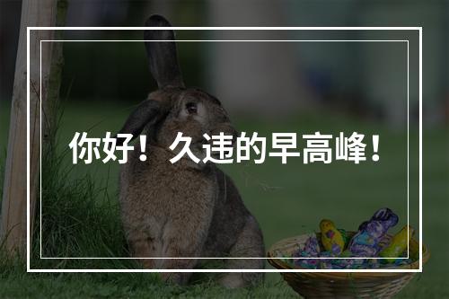 你好！久违的早高峰！