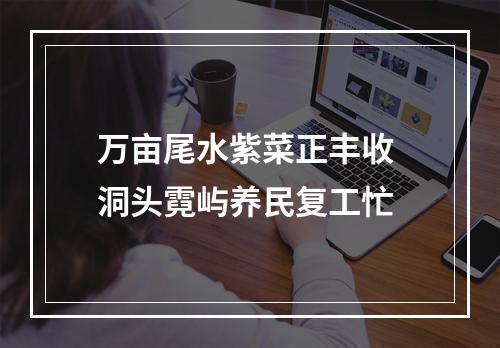 万亩尾水紫菜正丰收 洞头霓屿养民复工忙