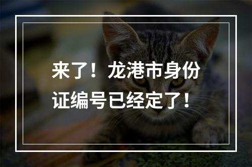 来了！龙港市身份证编号已经定了！