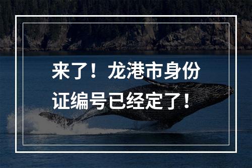 来了！龙港市身份证编号已经定了！