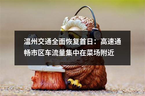温州交通全面恢复首日：高速通畅市区车流量集中在菜场附近