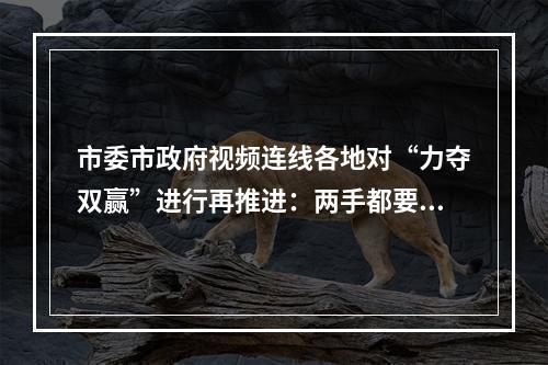 市委市政府视频连线各地对“力夺双赢”进行再推进：两手都要抓、两手都要硬
