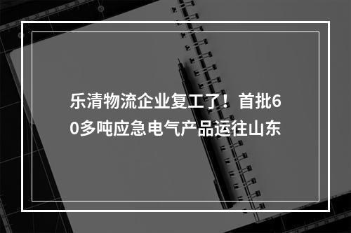 乐清物流企业复工了！首批60多吨应急电气产品运往山东