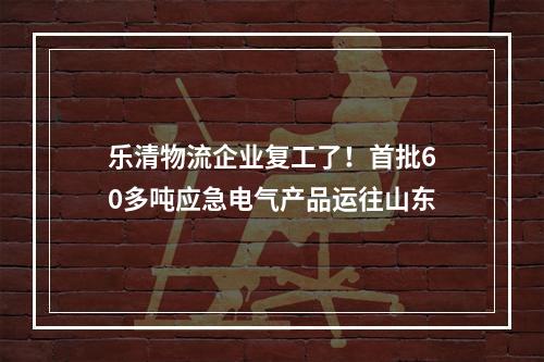 乐清物流企业复工了！首批60多吨应急电气产品运往山东