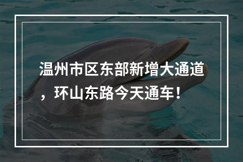 温州市区东部新增大通道，环山东路今天通车！
