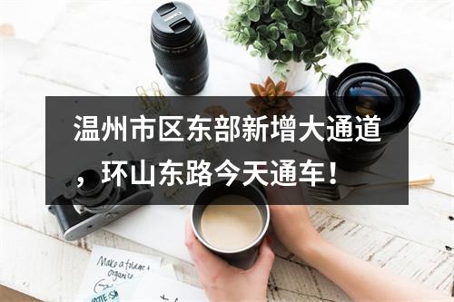 温州市区东部新增大通道，环山东路今天通车！