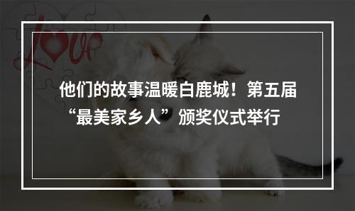 他们的故事温暖白鹿城！第五届“最美家乡人”颁奖仪式举行
