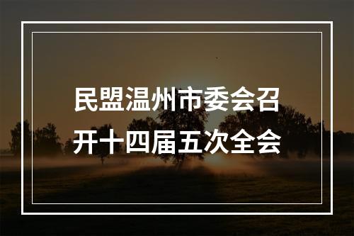 民盟温州市委会召开十四届五次全会