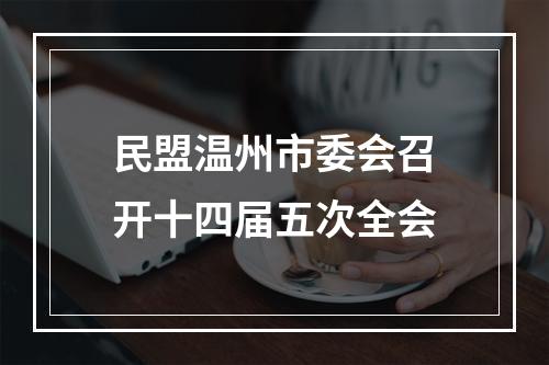 民盟温州市委会召开十四届五次全会
