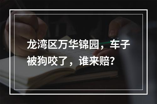 龙湾区万华锦园，车子被狗咬了，谁来赔？