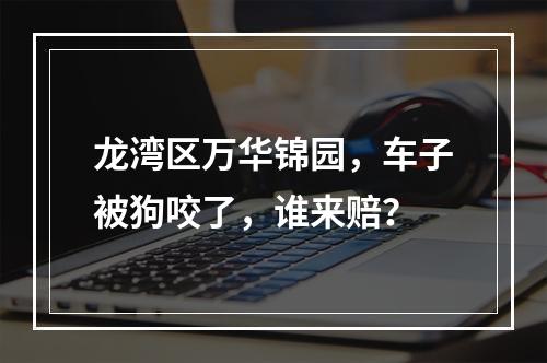 龙湾区万华锦园，车子被狗咬了，谁来赔？
