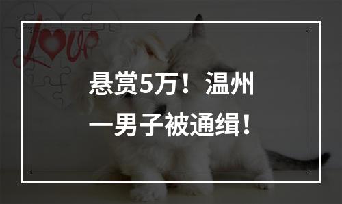 悬赏5万！温州一男子被通缉！
