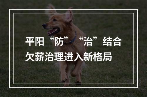 平阳“防”“治”结合欠薪治理进入新格局
