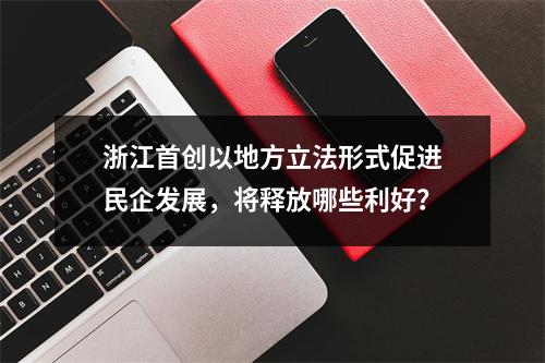 浙江首创以地方立法形式促进民企发展，将释放哪些利好？