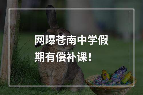 网曝苍南中学假期有偿补课！