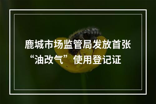 鹿城市场监管局发放首张“油改气”使用登记证