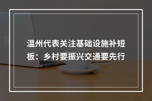 温州代表关注基础设施补短板：乡村要振兴交通要先行