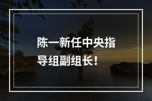 陈一新任中央指导组副组长！