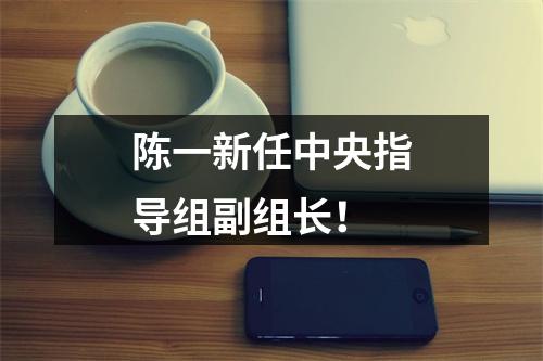陈一新任中央指导组副组长！
