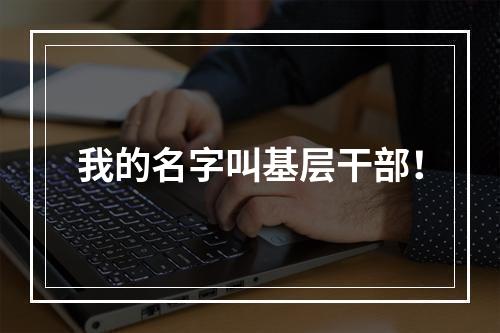 我的名字叫基层干部！