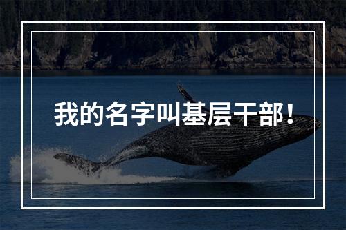 我的名字叫基层干部！
