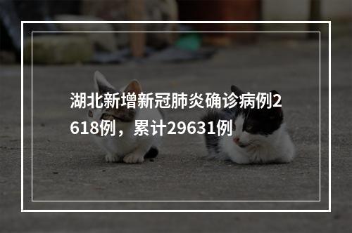 湖北新增新冠肺炎确诊病例2618例，累计29631例
