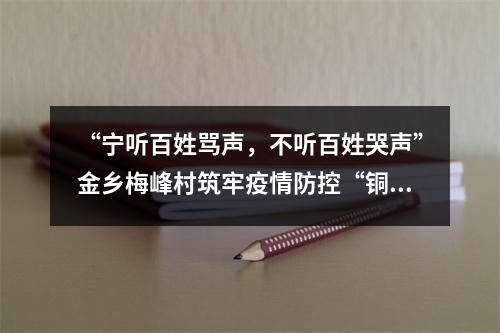 “宁听百姓骂声，不听百姓哭声”金乡梅峰村筑牢疫情防控“铜墙铁壁”
