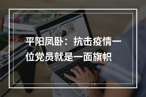 平阳凤卧：抗击疫情一位党员就是一面旗帜