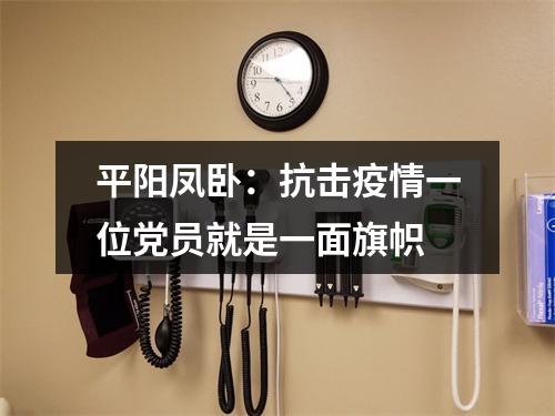 平阳凤卧：抗击疫情一位党员就是一面旗帜