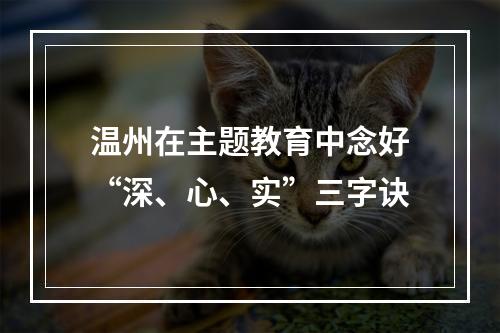 温州在主题教育中念好“深、心、实”三字诀