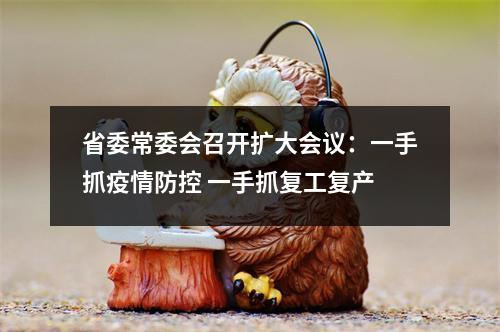 省委常委会召开扩大会议：一手抓疫情防控 一手抓复工复产