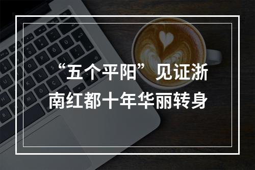 “五个平阳”见证浙南红都十年华丽转身