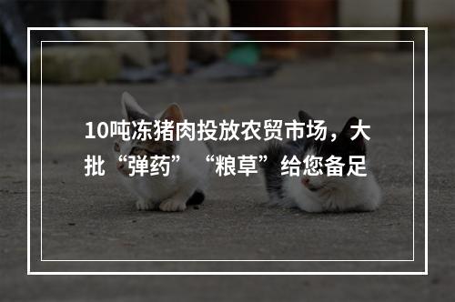 10吨冻猪肉投放农贸市场，大批“弹药”“粮草”给您备足