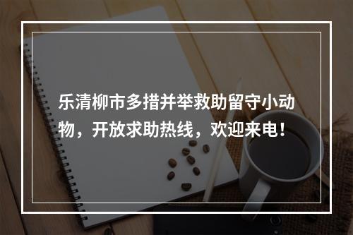 乐清柳市多措并举救助留守小动物，开放求助热线，欢迎来电！