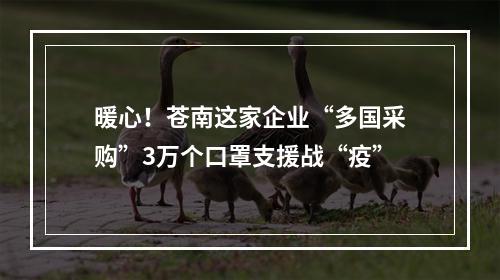 暖心！苍南这家企业“多国采购”3万个口罩支援战“疫”