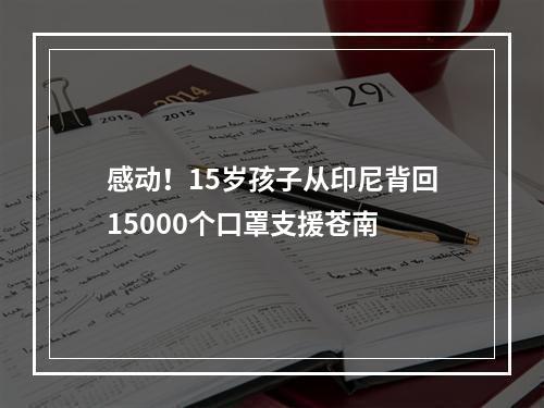感动！15岁孩子从印尼背回15000个口罩支援苍南