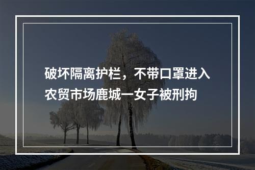 破坏隔离护栏，不带口罩进入农贸市场鹿城一女子被刑拘