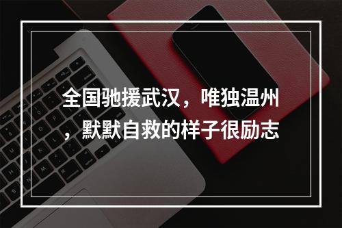 全国驰援武汉，唯独温州，默默自救的样子很励志