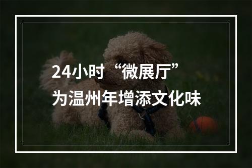 24小时“微展厅” 为温州年增添文化味