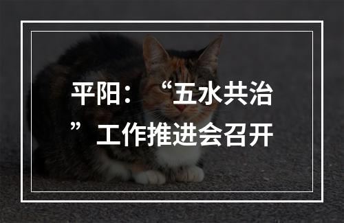 平阳：“五水共治”工作推进会召开