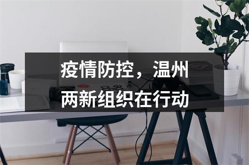 疫情防控，温州两新组织在行动