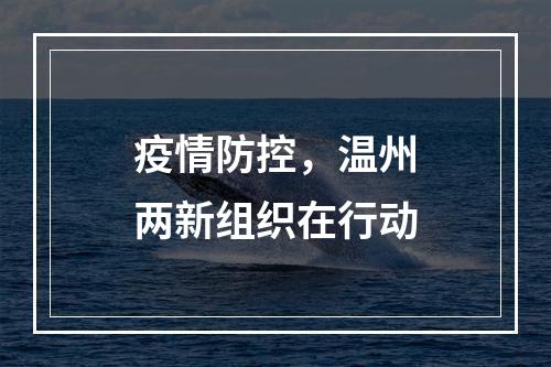 疫情防控，温州两新组织在行动