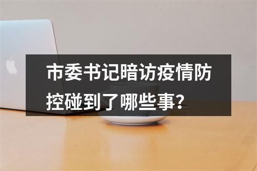 市委书记暗访疫情防控碰到了哪些事？