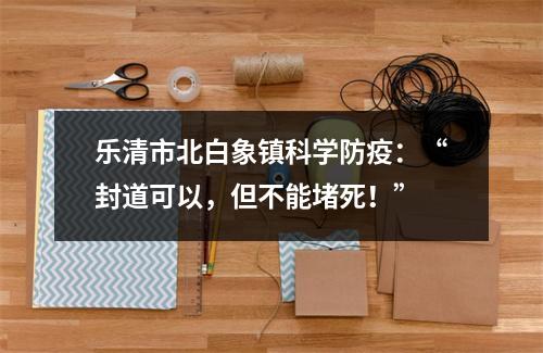 乐清市北白象镇科学防疫：“封道可以，但不能堵死！”
