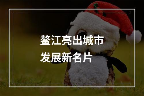 鳌江亮出城市发展新名片