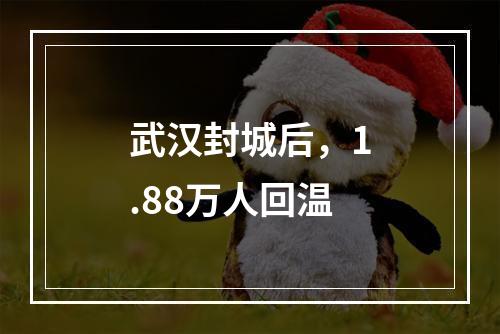 武汉封城后，1.88万人回温