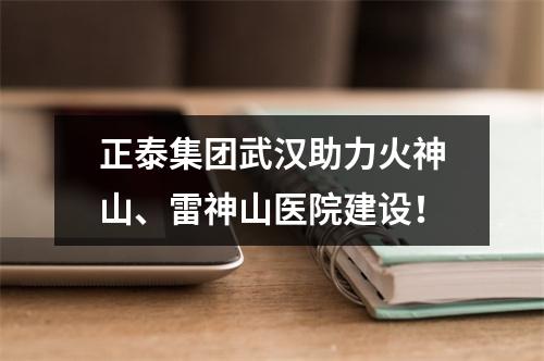 正泰集团武汉助力火神山、雷神山医院建设！