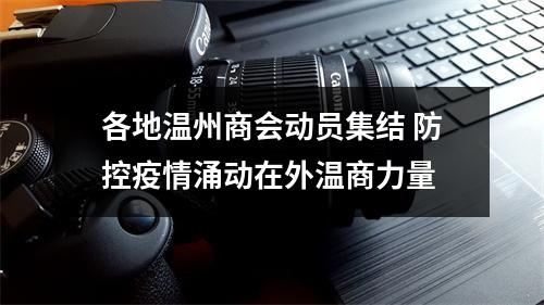 各地温州商会动员集结 防控疫情涌动在外温商力量